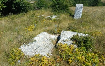 Grebno brdo kod Nevesinja: Nekropola sa 135 stećaka